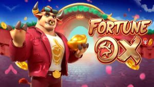 boi da fortuna 1